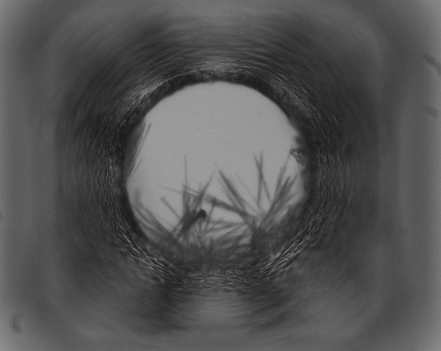 X0000097470822200803201446