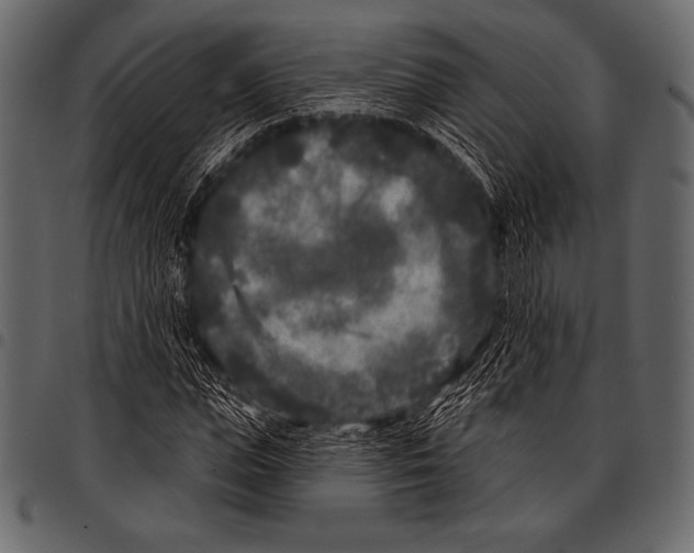 X0000097470823200803201446