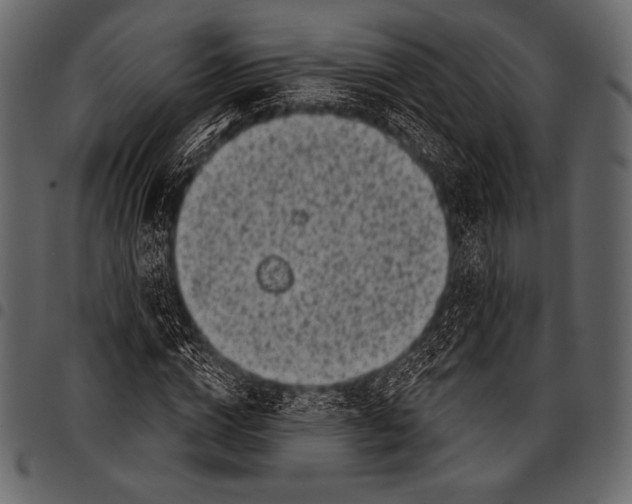 X0000097470824200803201446