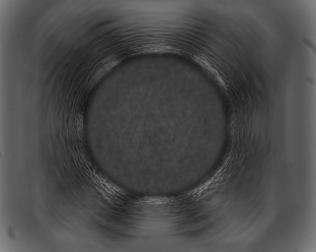 X0000097470825200803201446