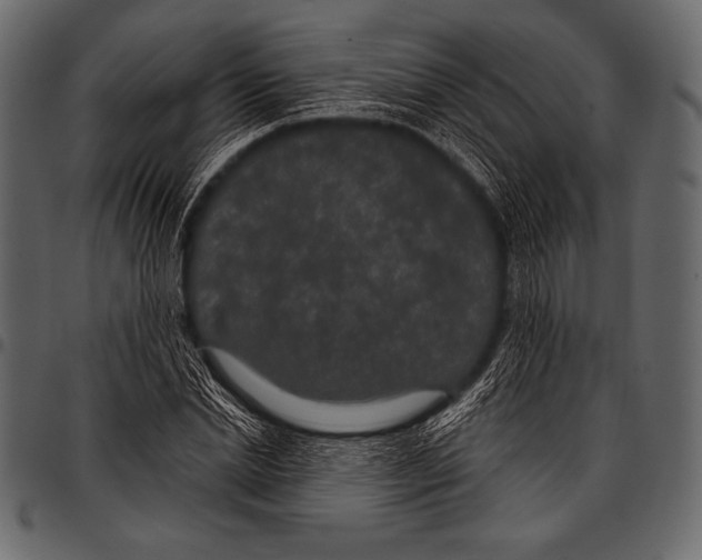 X0000097470830200803201446