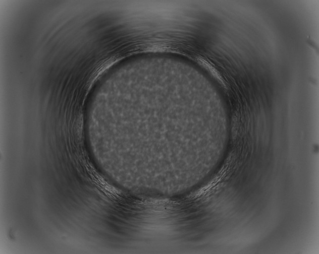 X0000097470831200803201446