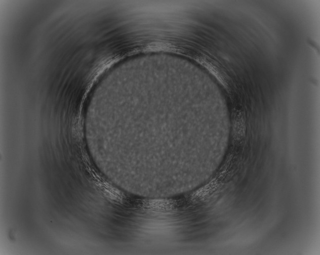 X0000097470832200803201446