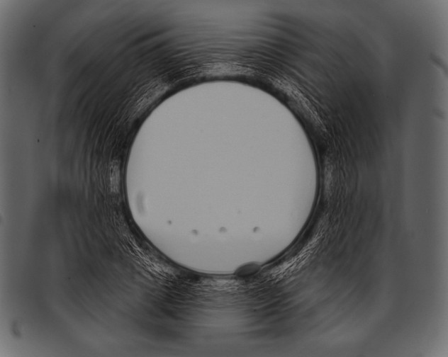 X0000097470833200803201446