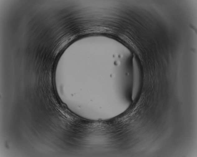 X0000097470834200803201446