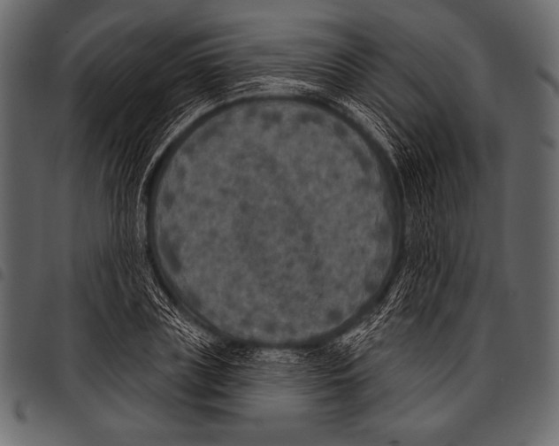 X0000097470835200803201446