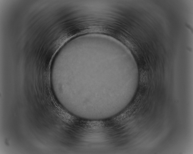 X0000097470836200803201446