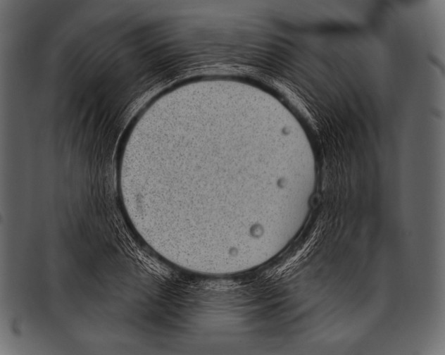 X0000097470837200803201446