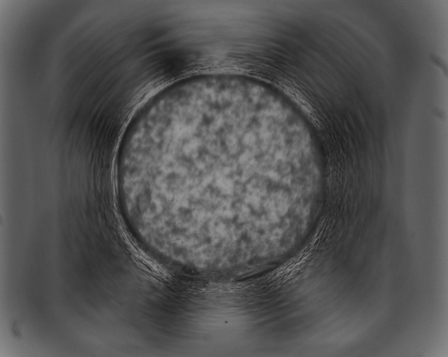 X0000097470840200803201446