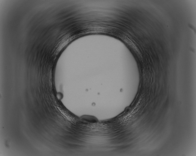 X0000097470842200803201446