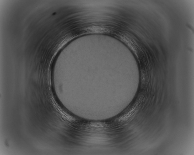 X0000097470843200803201446