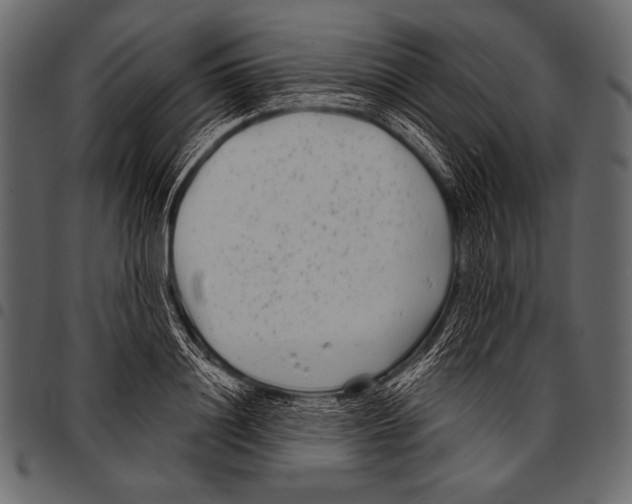 X0000097470844200803201446