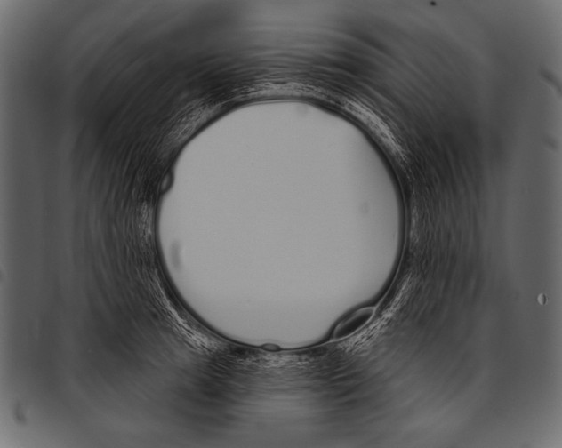 X0000097470849200803201446