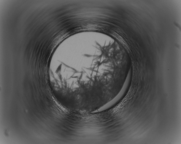 X0000097470850200803201446