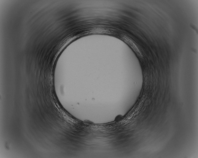 X0000097470852200803201446