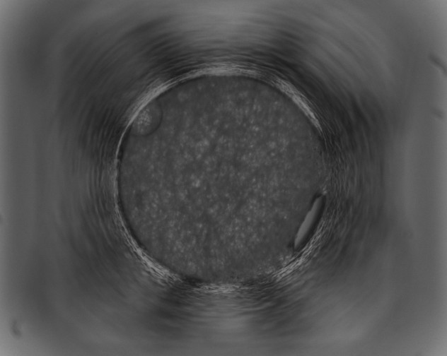 X0000097470853200803201446