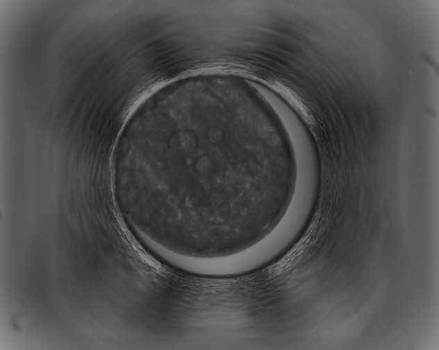 X0000097470854200803201446