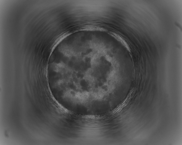 X0000097470855200803201446