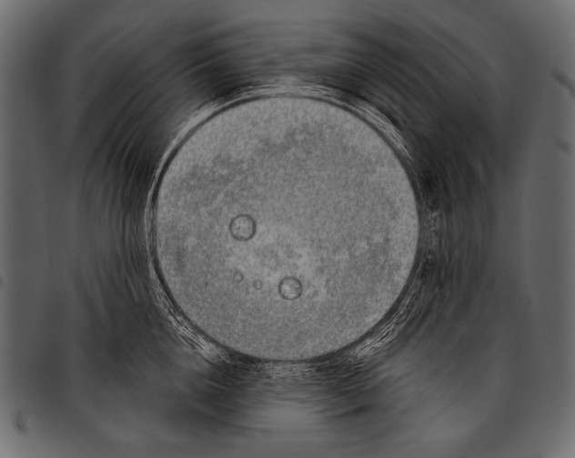 X0000097470856200803201446