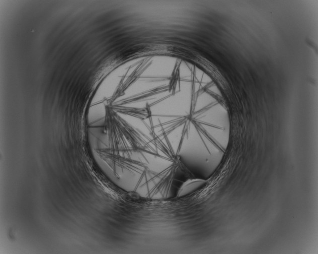 X0000097470858200803201446