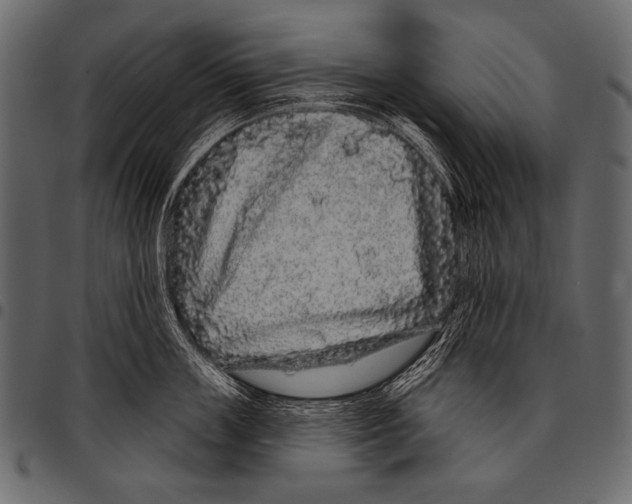 X0000097470859200803201446