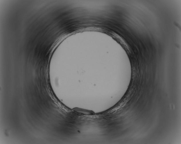 X0000097470860200803201446