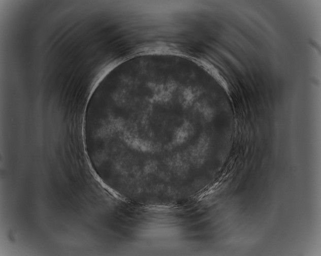 X0000097470863200803201446