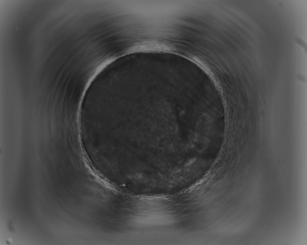 X0000097470864200803201446