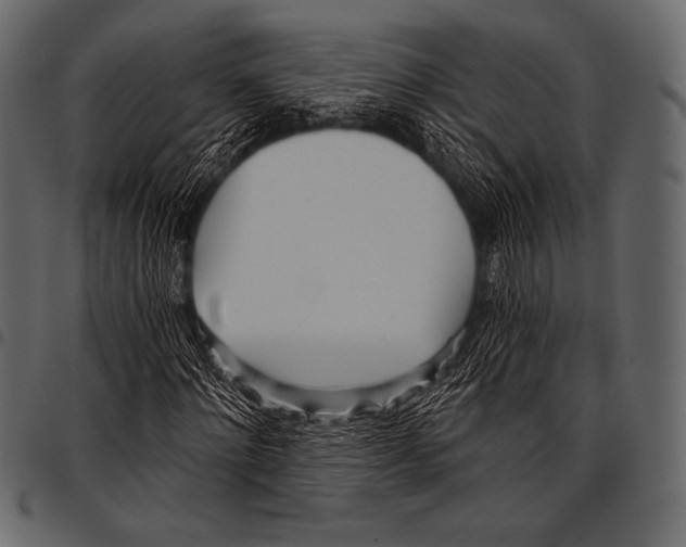 X0000097470868200803201446