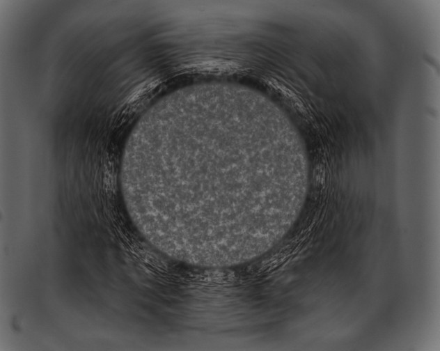 X0000097470869200803201446