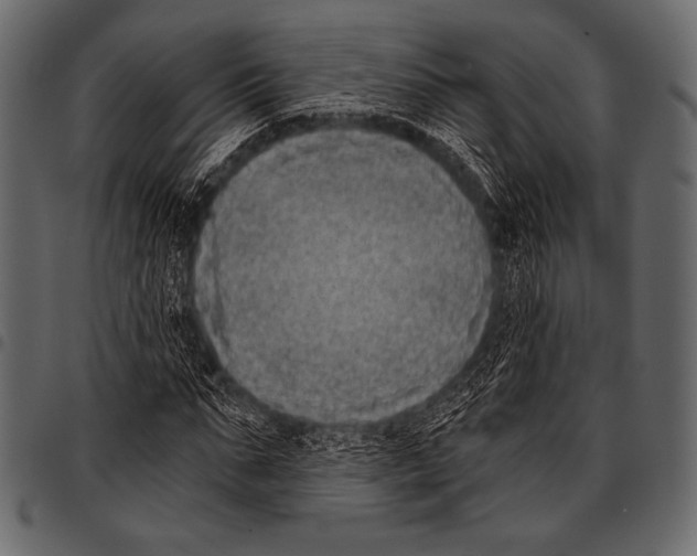 X0000097470871200803201446