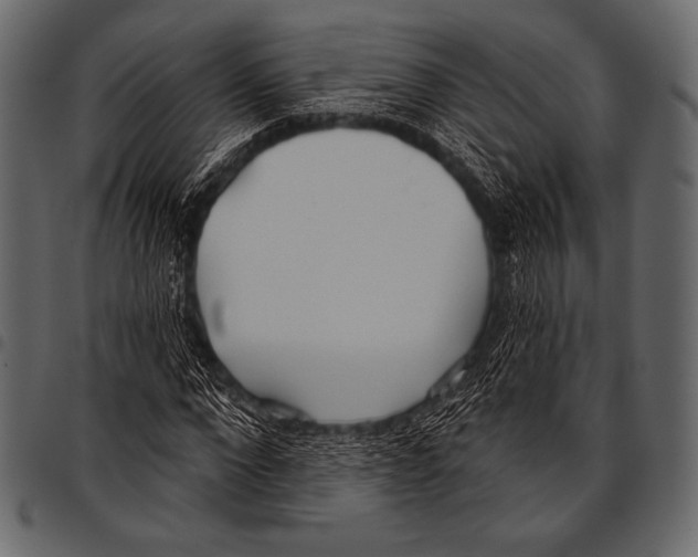 X0000097470872200803201446