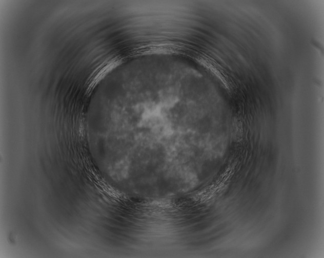 X0000097470874200803201445