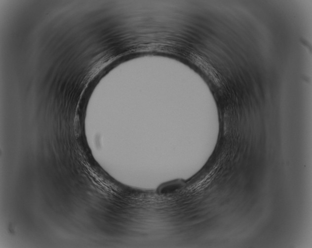 X0000097470876200803201445