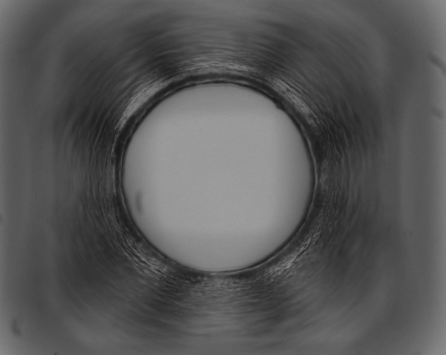 X0000097470877200803201445