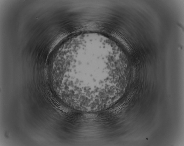 X0000097470878200803201445