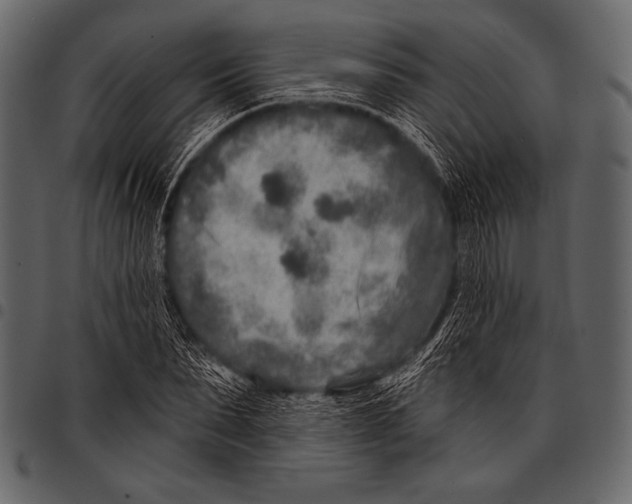 X0000097470879200803201445