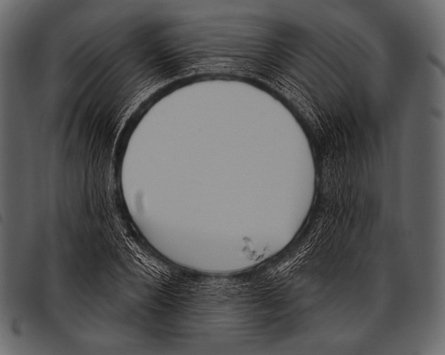 X0000097470880200803201445