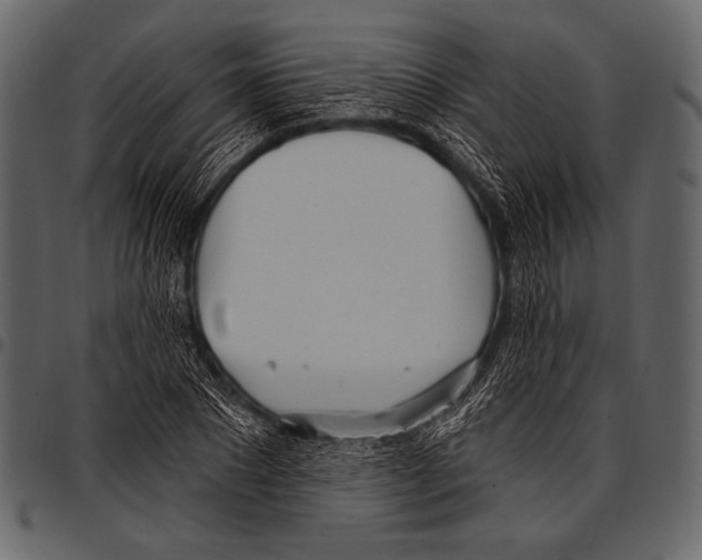 X0000097470881200803201445