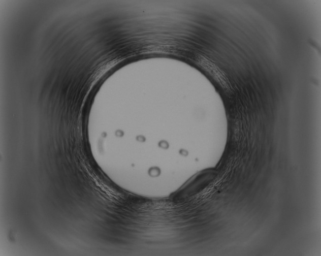 X0000097470884200803201445