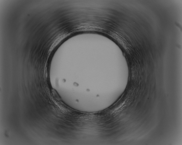 X0000097470885200803201445