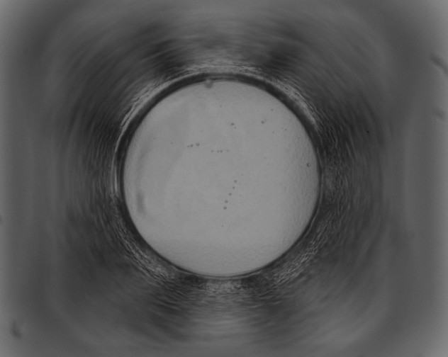 X0000097470887200803201445