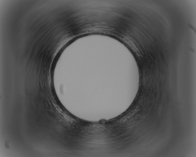 X0000097470888200803201445