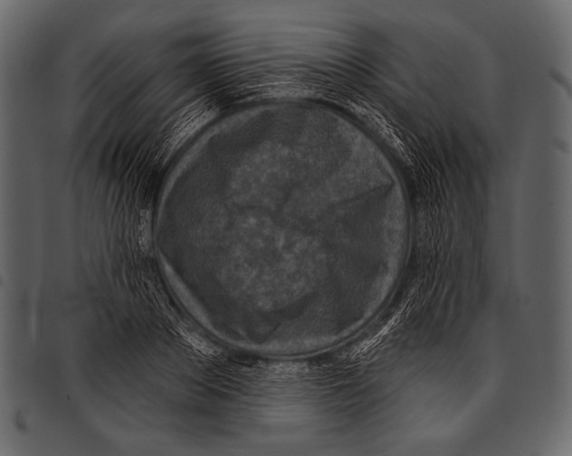 X0000097470889200803201445