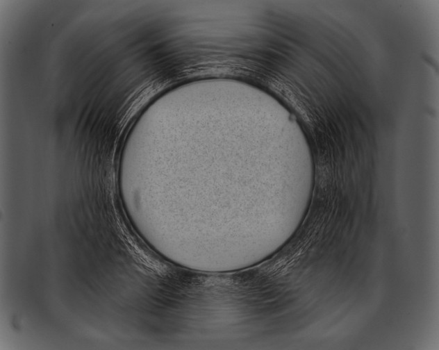 X0000097470890200803201445