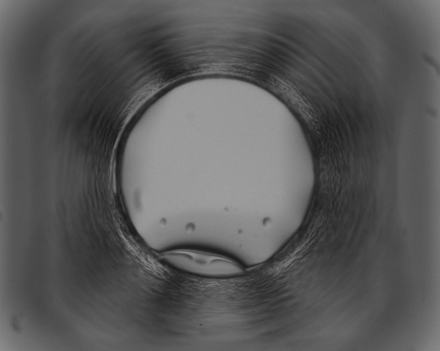 X0000097470892200803201445