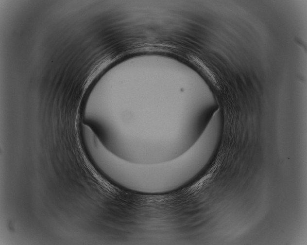 X0000097470893200803201445