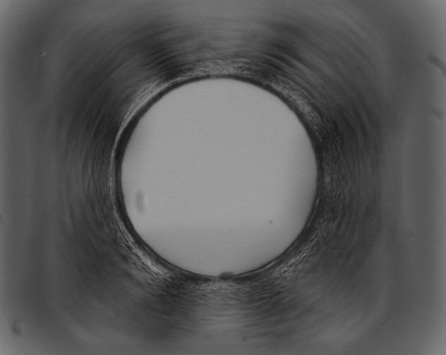 X0000097470894200803201445