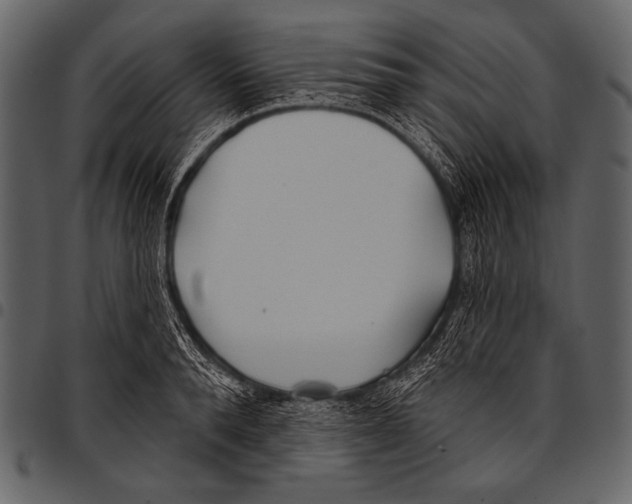 X0000097470896200803201445