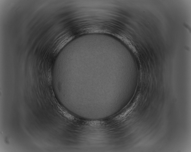 X0000097470897200803201445